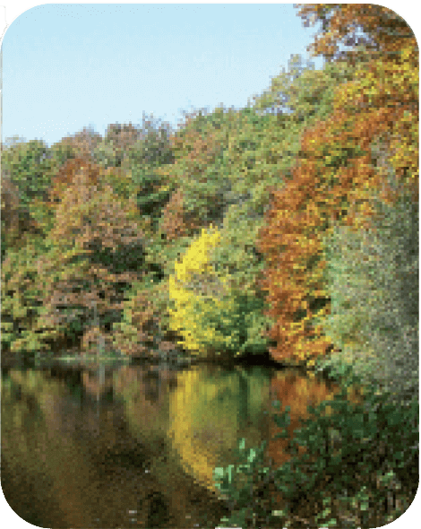 Etang du prieuré